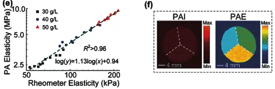 Application of Lock-in Amplifier OE2031 in Cell Microrheology