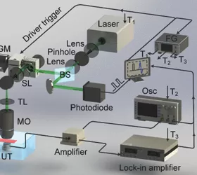 Application of Lock-in Amplifier OE2031 in Cell Microrheology