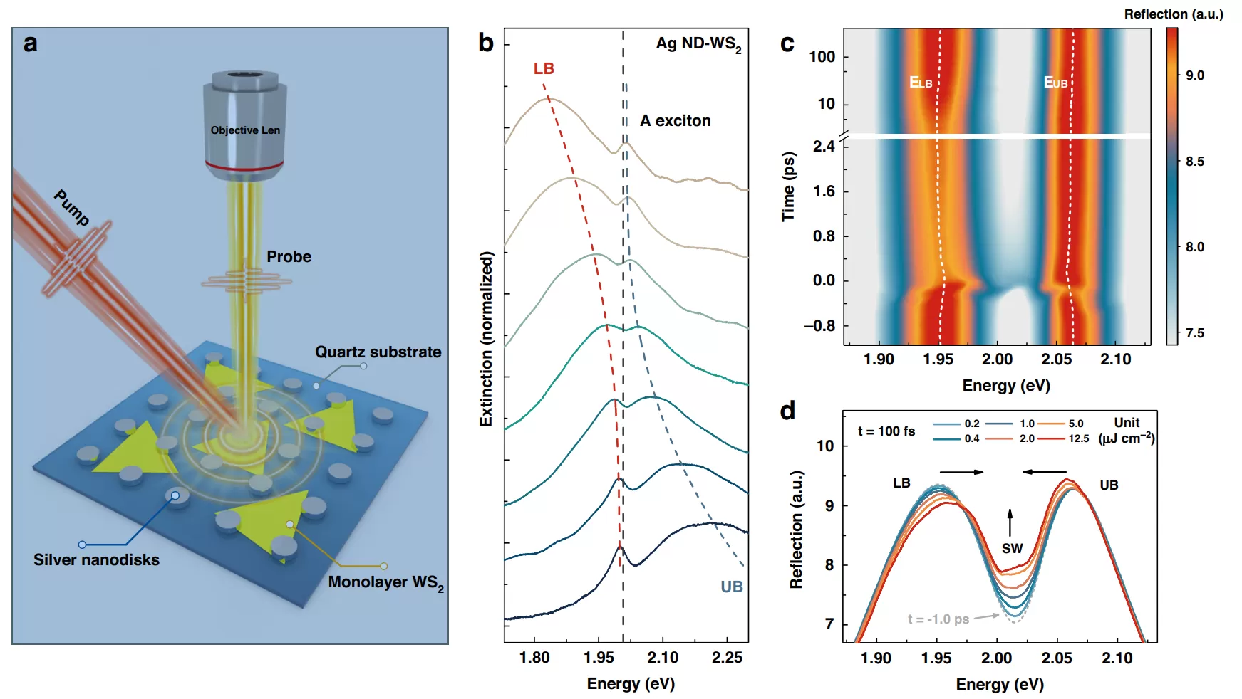 Dual-Channel Lock-in Amplifier OE1022D Applied in the Study of Nonlinear Plasmon-Exciton Polarit