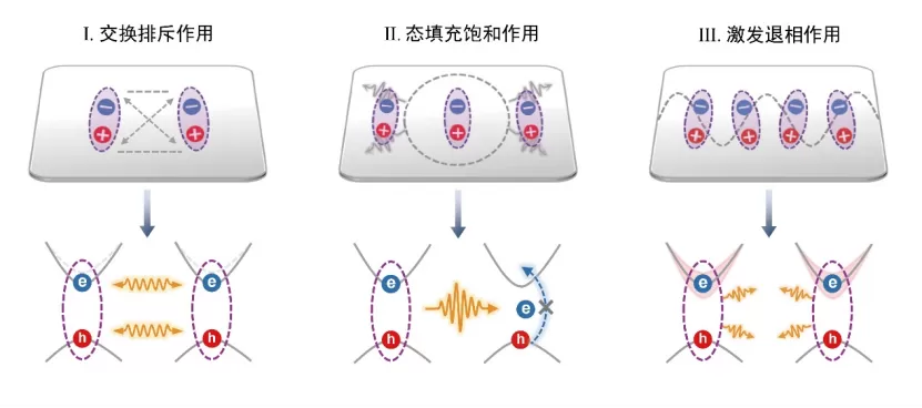 Dual-Channel Lock-in Amplifier OE1022D Applied in the Study of Nonlinear Plasmon-Exciton Polarit