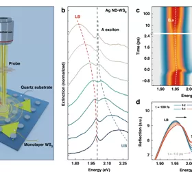 Dual-Channel Lock-in Amplifier OE1022D Applied in the Study of Nonlinear Plasmon-Exciton Polarit