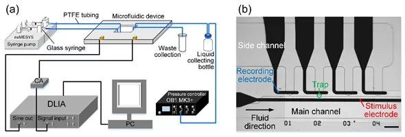Microfluidic Electrical Impedance Spectroscopy Measurements