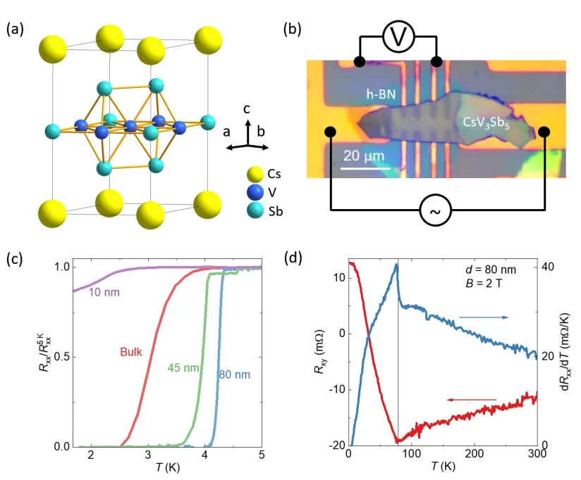 OE1022 Use To Non-Reciprocal Charge Transport In The Topological Kagome Superconductor CsV3Sb5