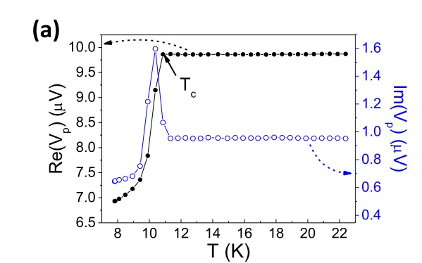 OE1022 Applied to Scanning Tunneling Microscopy Measurements in Superconducting Thin Films