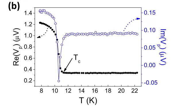 OE1022 Applied to Scanning Tunneling Microscopy Measurements in Superconducting Thin Films