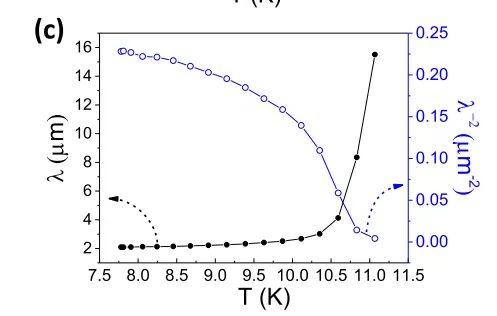 OE1022 Applied to Scanning Tunneling Microscopy Measurements in Superconducting Thin Films