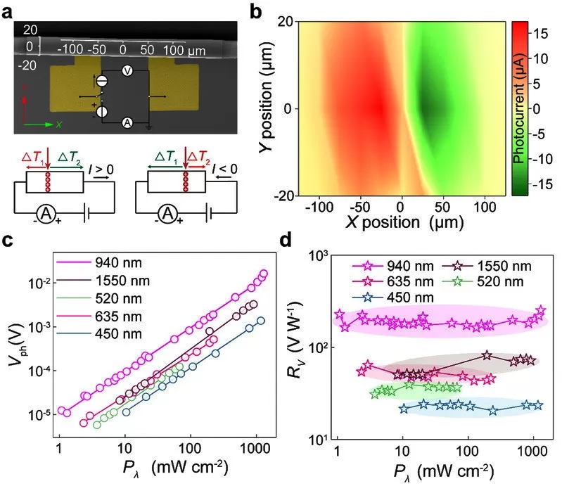 OE1022 Applied to the Measurement of Self-Curling Three-Dimensional Photothermoelectric Detectors