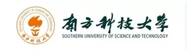 Southern University of Science and Technology