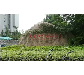 SSI Visited University of Science and Technology of China and Other Universities